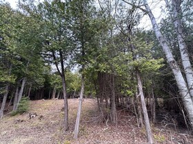 00 Snowdons Corners Road, Leeds and Grenvi, ON , MLS #X12122675 , Image - 1