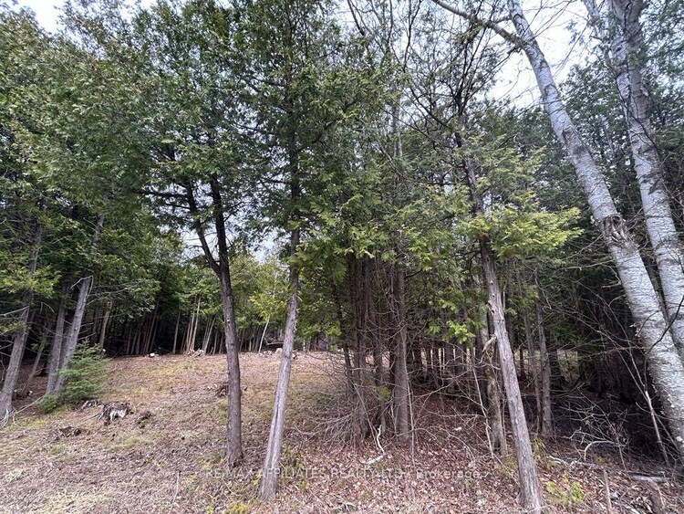 00 Snowdons Corners Road, Merrickville-Wolford, ON, 805 - Merrickville/Wolford Twp