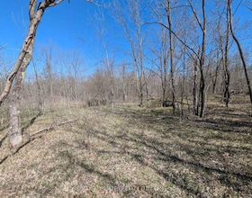 0 LITTLE CROSBY LAKE Road, Leeds and Grenvi, ON , MLS #X12544026 , Image - 1