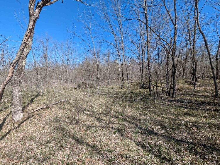 0 LITTLE CROSBY LAKE Road, Rideau Lakes, ON, 816 - Rideau Lakes (North Crosby) Twp