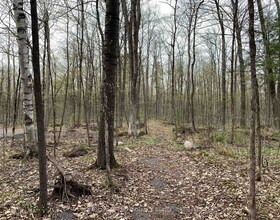 00 O'Toole Road, Ottawa, ON , MLS #X12126021 , Image - 1