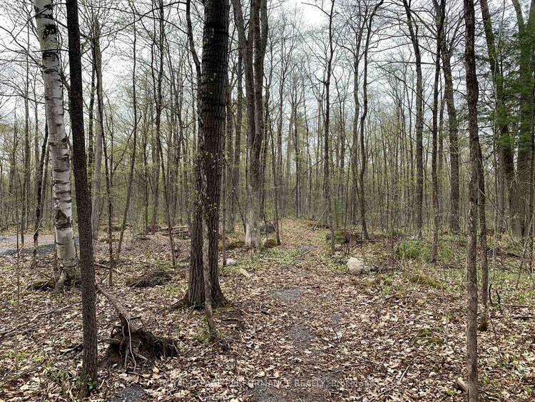 00 O'Toole Road, Orleans - Cumberland and Area, ON, 1116 - Cumberland West