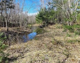 1205 Fair Grounds Road, Simcoe, ON , MLS #S13473438 , Image - 1