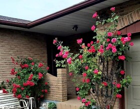21 Drury Crescent, Niagara, ON , MLS #40710434 , Image - 1