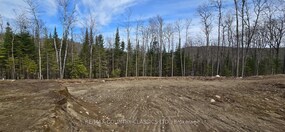 30 Ridge Road, Hastings, ON