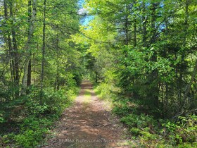 0 Dufferin Street, Parry Sound, ON , MLS #X12982962 , Image - 1