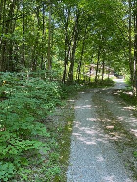 119 Acorn Road, Kawartha Lakes, ON , MLS #X12428531 , Image - 1