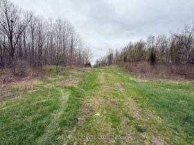 1116 Cross Road, Hastings, ON , MLS #X12128368 , Image - 1