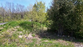 PT LT 30 CON 5 EBR PT 4 Isthmus Bay Road, Bruce, ON , MLS #X12129239 , Image - 1