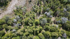 LT 254 Dorcas Bay Road, Bruce, ON , MLS #X12129284 , Image - 1