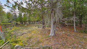 LT 255 Pedwell Pt. Drive, Bruce, ON , MLS #X12129332 , Image - 1