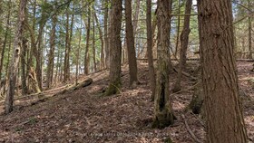 77 Meadow Heights Drive, Muskoka, ON , MLS #X12129610 , Image - 1