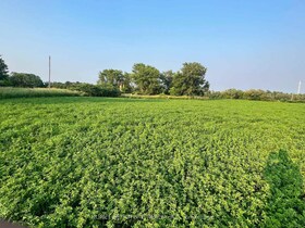 925 Townline Road N, Durham, ON , MLS #E12131641 , Image - 1