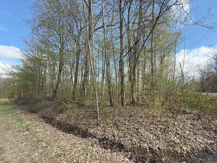 0 Oakwood Lane, Greater Napanee, ON, Greater Napanee