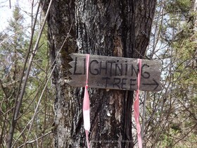 2716 Highway 17 N/A E, Nipissing, ON , MLS #X12133728 , Image - 1