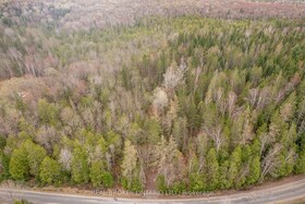 1272 Ursa Road, Haliburton, ON , MLS #X12133862 , Image - 1