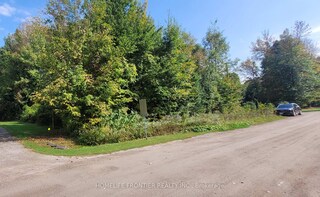 3585 Peter Street, Ramara, ON