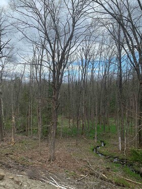 3052 Deep Bay Road, Haliburton, ON