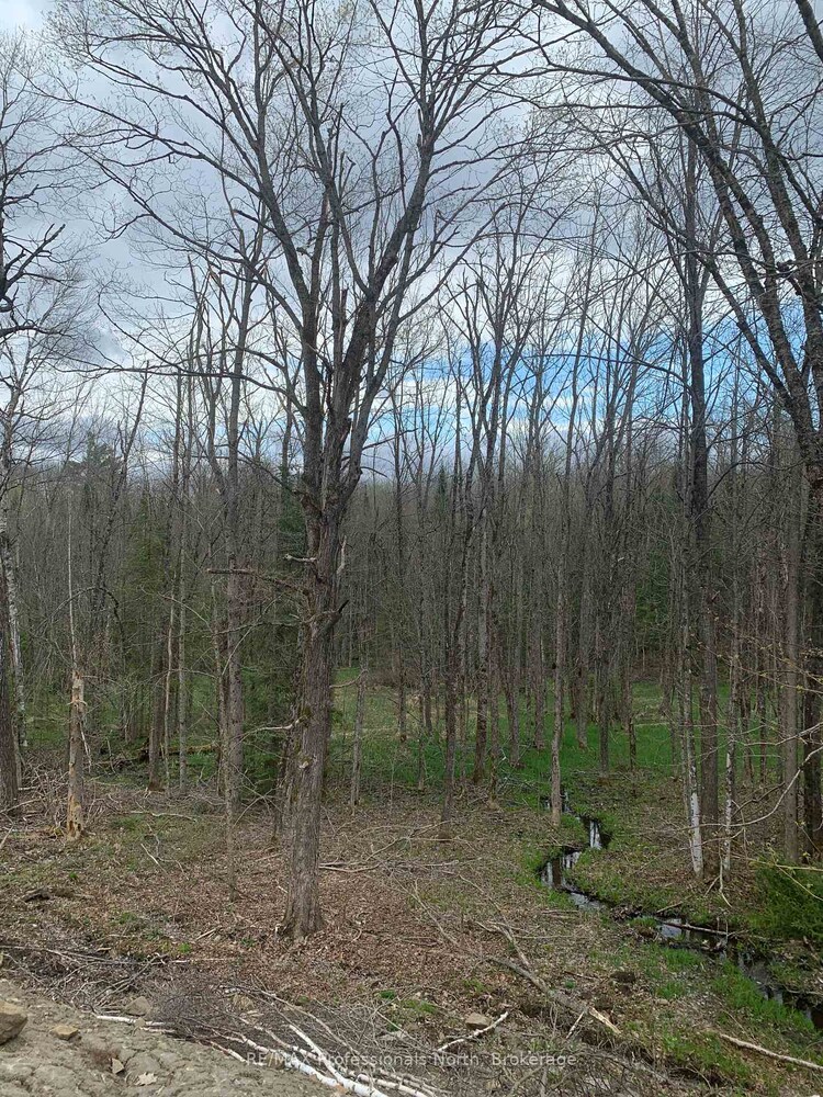 3052 Deep Bay Road, Minden Hills, ON, Lutterworth