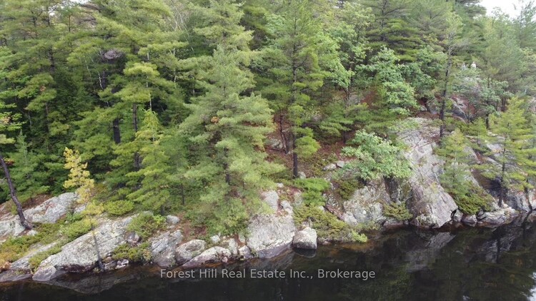 0 Clear Lake Road, Muskoka Lakes, ON, Wood (Muskoka Lakes)