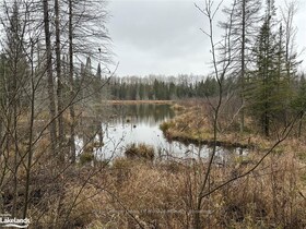 LOT 3 HILL AND GULLY Road, Parry Sound, ON , MLS #X12530200 , Image - 1