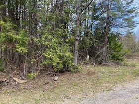3458 Old Hastings Road, Hastings, ON , MLS #X12136514 , Image - 1