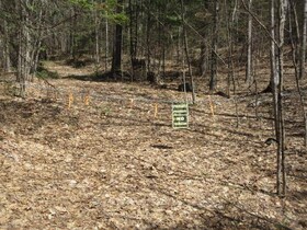 0 Lippert Lane N, Hastings, ON , MLS #X12138011 , Image - 1