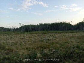 N/A N/A Road, Timiskaming, ON , MLS #T12138270 , Image - 1