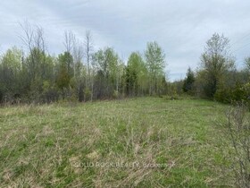 00 Atkins Lake Road, Leeds and Grenvi, ON , MLS #X12138383 , Image - 1
