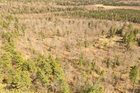 00 K&P Trail, Lanark, ON , MLS #X12139435 , Image - 1