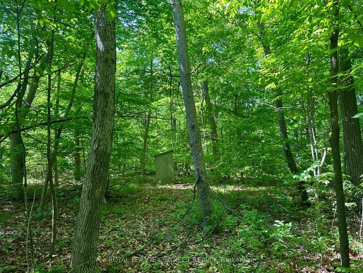 20 Riverside Drive, Trent Hills, ON, Rural Trent Hills