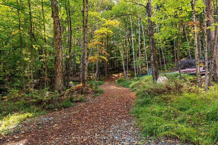 738 HARP LAKE Road, Huntsville, ON, Chaffey