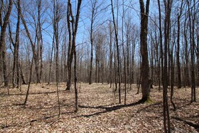 0 534 Hwy Highway, Parry Sound, ON , MLS #X12139978 , Image - 1