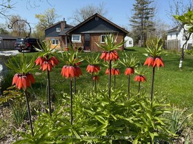 31474 Lakeridge Road, York, ON , MLS #N12140054 , Image - 1