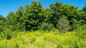 31 EVERETT Road, Bruce, ON , MLS #X12141235 , Image - 1