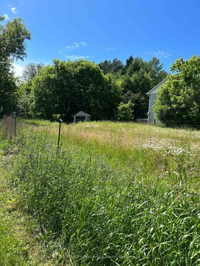 0 ELM Street, Parry Sound, ON , MLS #X12504346 , Image - 1