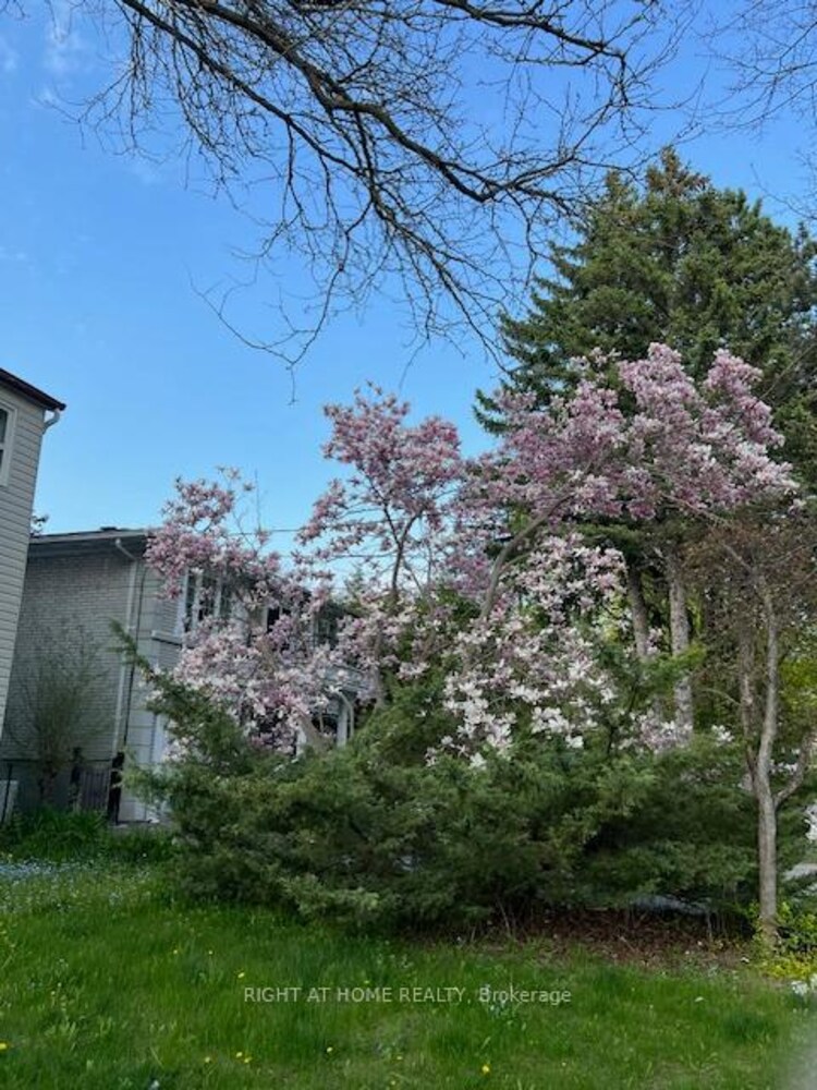 144 Wedgewood Drive, Toronto, ON, Newtonbrook East