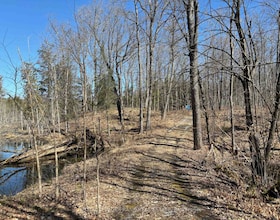 185 Julian Lake Road, Peterborough, ON , MLS #X13018774 , Image - 1