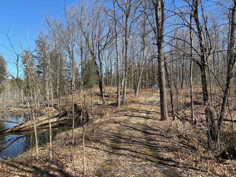 185 Julian Lake Road, North Kawartha, ON, North Kawartha