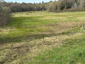 Lot 34 Highway 141 Highway, Muskoka, ON , MLS #X12146272 , Image - 1