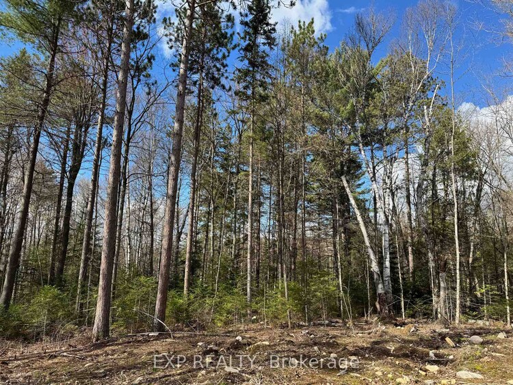 Lot 17 Lakewoods Drive, Madawaska Valley, ON, 570 - Madawaska Valley