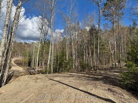 Lot 16 Lakewoods Drive, Renfrew, ON , MLS #X12148235 , Image - 1