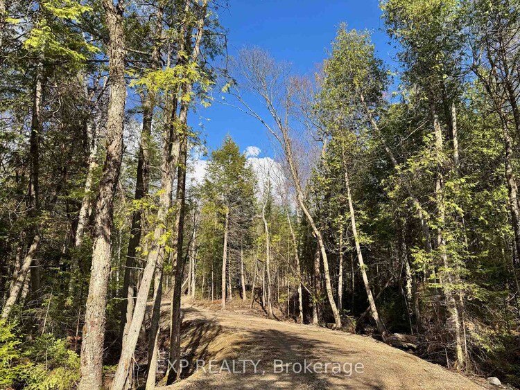 Lot 14 Lakewoods Drive, Madawaska Valley, ON, 570 - Madawaska Valley