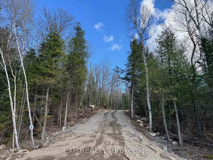 Lot 8 Lakewoods Drive, Madawaska Valley, ON, 570 - Madawaska Valley