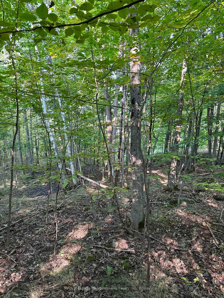 1000 Island Park Road, Muskoka Lakes, ON, Medora