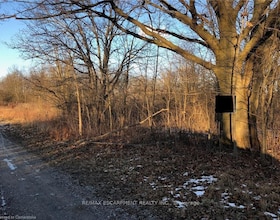 LOT 11 HALD-DUNN TOWNLINE Road, Haldimand, ON , MLS #X12554156 , Image - 1
