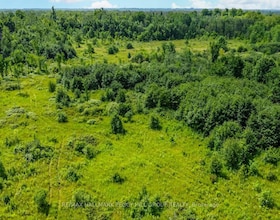 Lot 5 Concession 5 N/A, Kawartha Lakes, ON , MLS #X12546516 , Image - 1