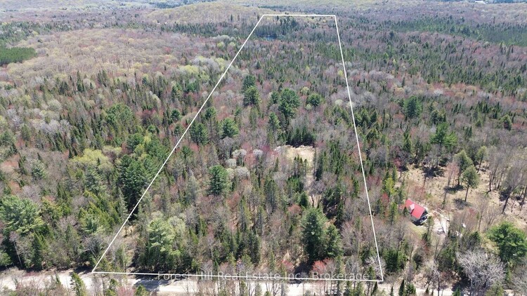 515 JAMES CAMP Road, Ryerson, ON, Ryerson