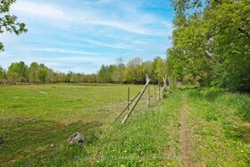 14059 DAFOE Road, Stormont, Dund, ON , MLS #X12509732 , Image - 1