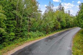 PT Farm LT 4 NICHOLAS Street, Bruce, ON , MLS #X12154223 , Image - 1